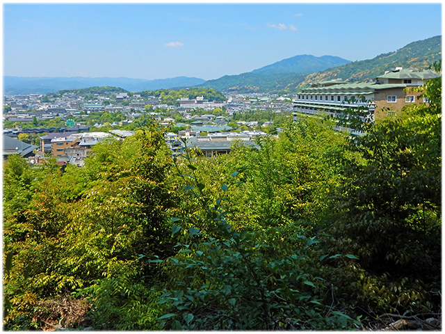 250514_sonshoin